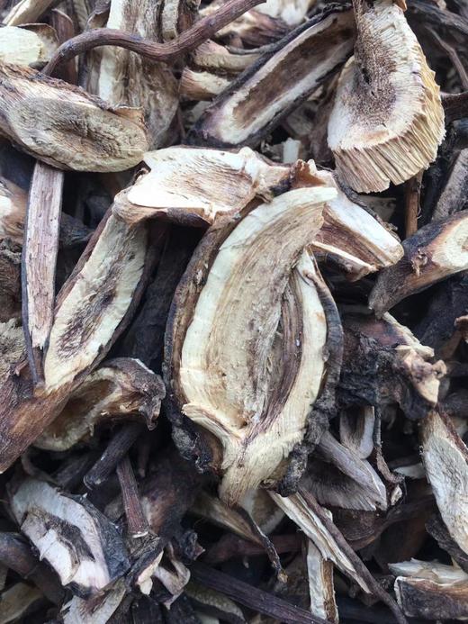 狗屎兰花 商品图3