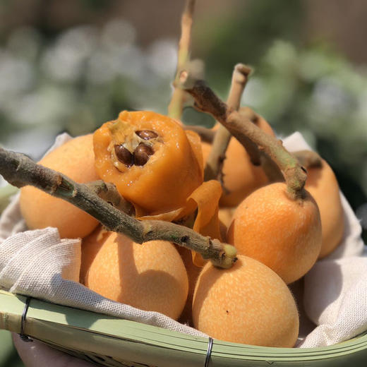 【 顺丰包邮】米易枇杷 甜美鲜嫩 软滑爽口  当季尝鲜 商品图0