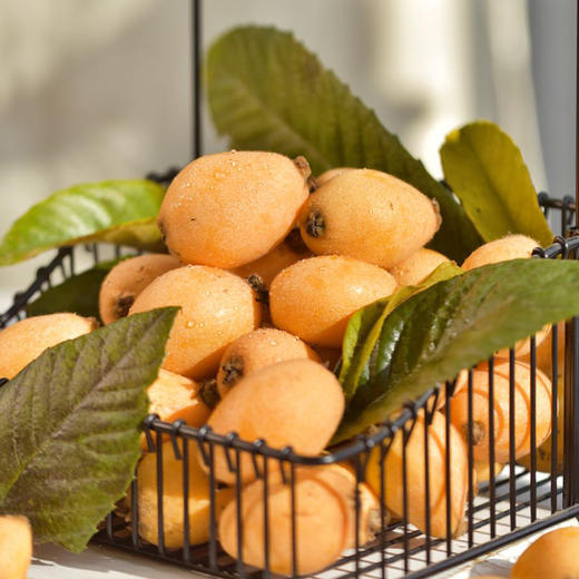 【 顺丰包邮】米易枇杷 甜美鲜嫩 软滑爽口  当季尝鲜 商品图1