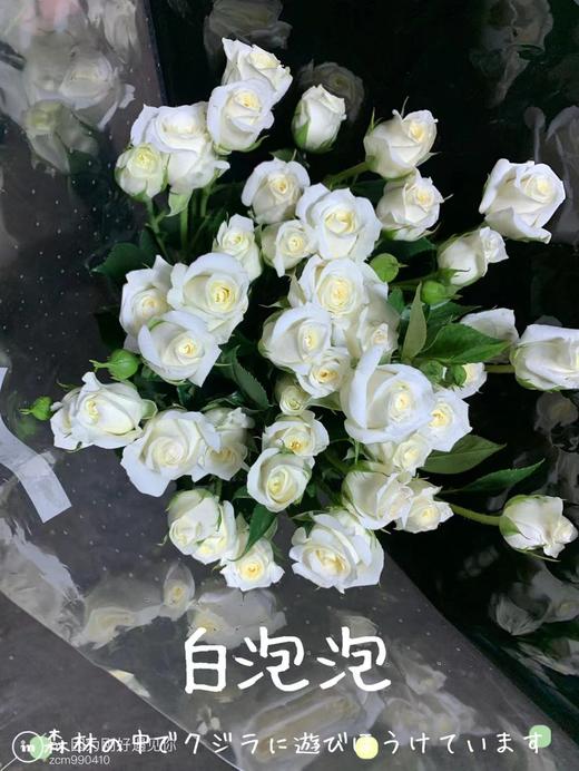 多头玫瑰·白泡泡 商品图1