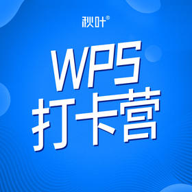 WPS打卡营学员评价