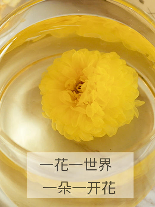 【特级礼盒装 怀菊花】50g*2/盒 清新淡雅 色泽金黄 手工采摘 无硫烘焙怀菊花 商品图2