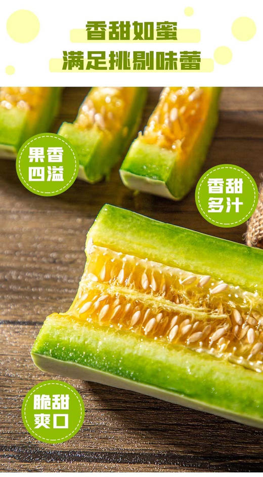 又脆又甜的羊角蜜甜瓜2.7斤装 商品图8
