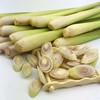 香茅草 商品缩略图5