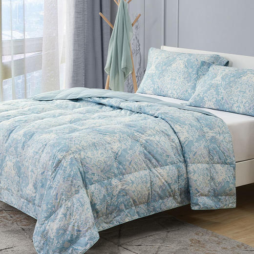 云柔天丝可水洗波兰白鹅绒三件套 迪恩花园 商品图1