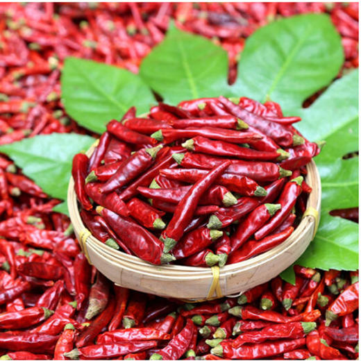 散称干海椒【约500g】 商品图1