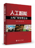 【旗舰店】人工智能火电厂和智慧企业  人工智能 智慧企业  9787511459084 商品缩略图1