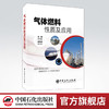 【旗舰店】气体燃料性质及应用 天然气、煤层气、生物质沼气、液化石油气、氢气 宋绍富主编 中国石化出版社 9787511452559 商品缩略图0
