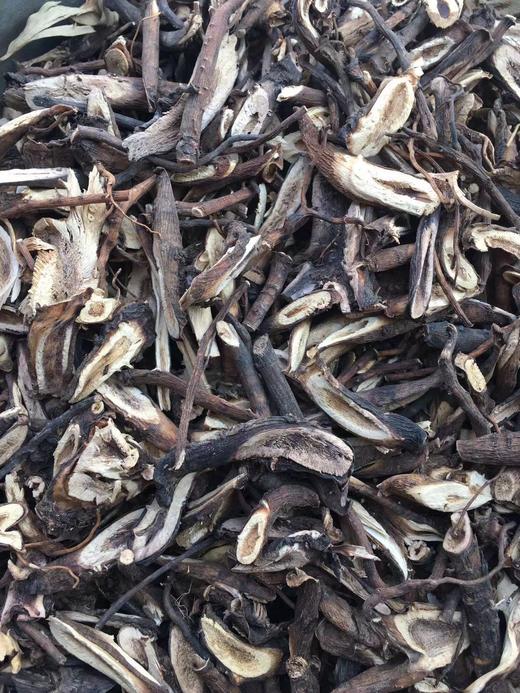 狗屎兰花 商品图2