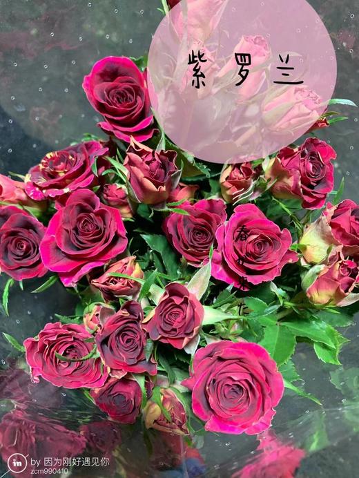 多头玫瑰·紫罗兰 商品图0