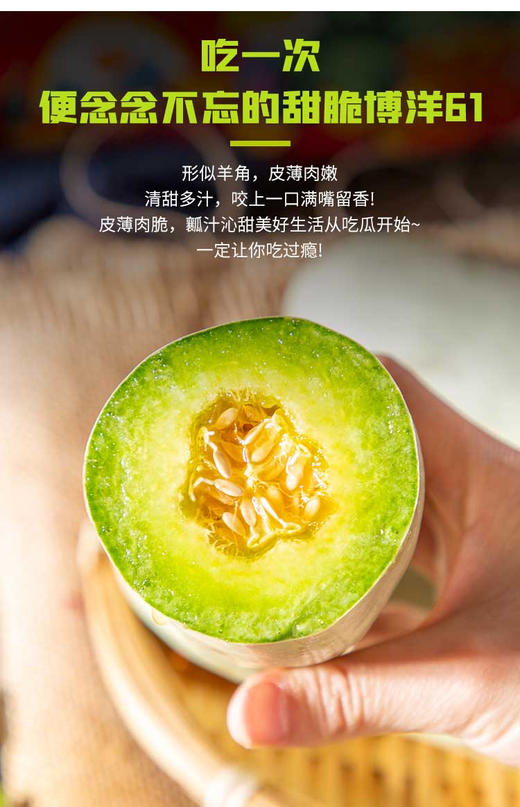 又脆又甜的羊角蜜甜瓜2.7斤装 商品图7