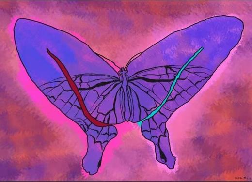 鱼眼罐头『蝴蝶谷』 商品图0