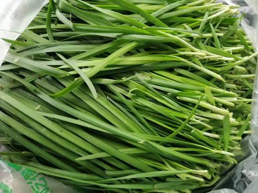 记得回家吃饭 ｜生态蔬菜包 ｜蔬菜配送 ｜不要忘了包装哦 商品图8