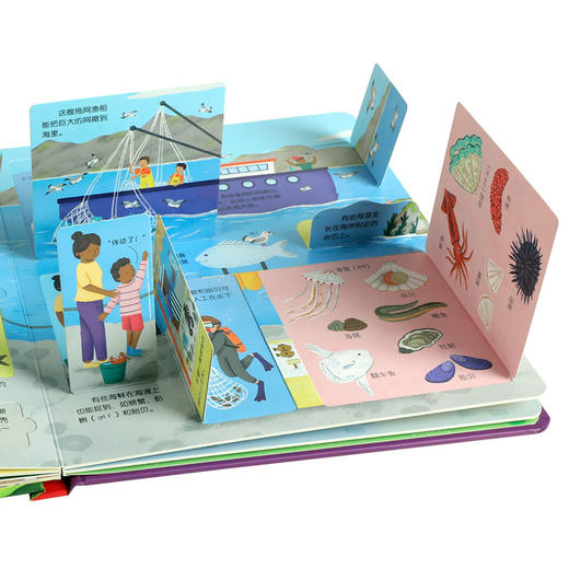 乐乐趣揭秘翻翻书低幼版第四辑（共2册） 商品图4