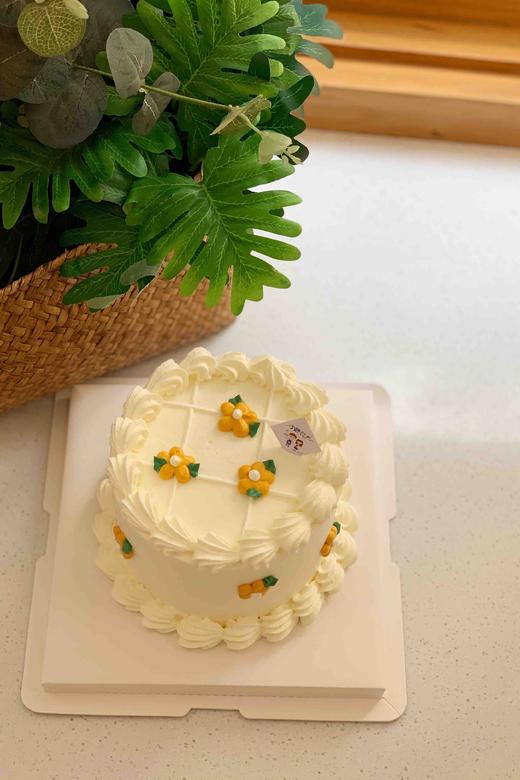 小清新奶油蛋糕 下单前请仔细阅读商品详情 商品图0