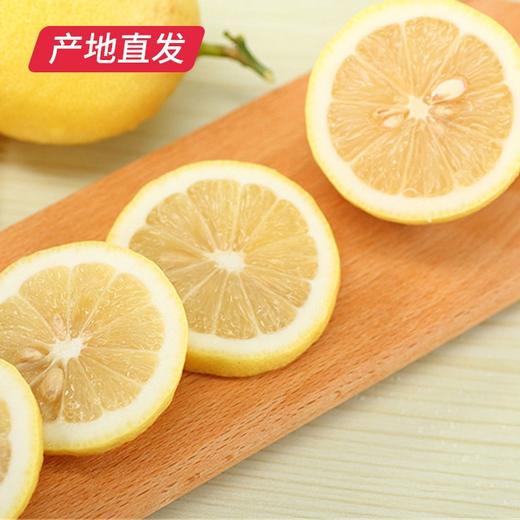 四川安岳黄柠檬 8粒（单果80g-90g）（包邮直发） 商品图3