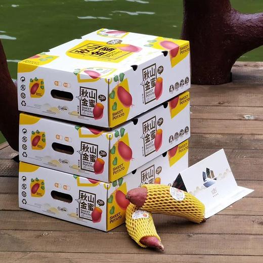 【秋山金蜜.红薯】约5斤/箱，可蒸可烤 商品图2