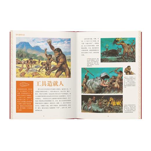《史前时代》 人类远祖的衣食住行 10-100岁 历史绘本 人类的生活 读小库 商品图1