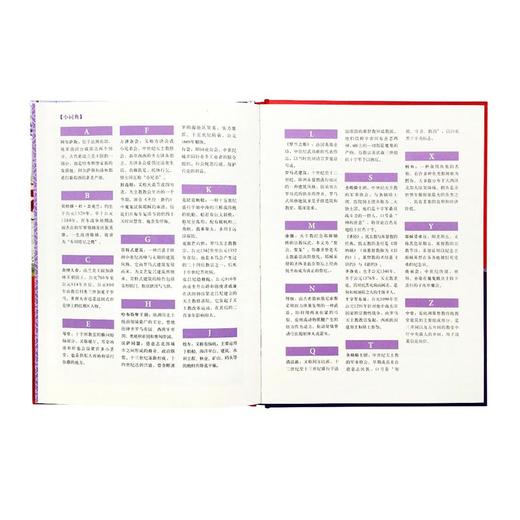 《中世纪时代》 骑士与城堡 10-100岁 历史绘本 人类的生活 读小库 商品图4