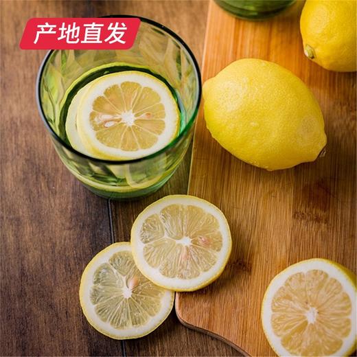 四川安岳黄柠檬 8粒（单果80g-90g）（包邮直发） 商品图5