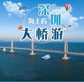 “世界新七大奇迹”之一【大湾区港珠澳】大桥风光