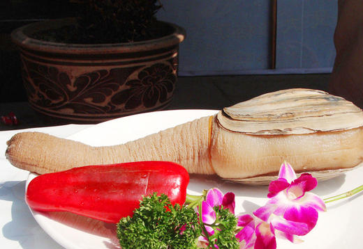 【海鲜】鲜活象拔蚌大（每只约1.6斤） 商品图1