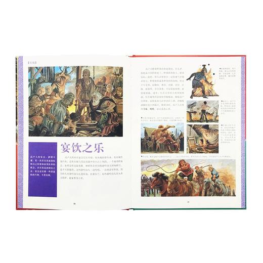 《高卢时代》从凯尔特人入侵到罗马人占领 10-100岁 历史绘本 人类的生活 读小库 商品图2