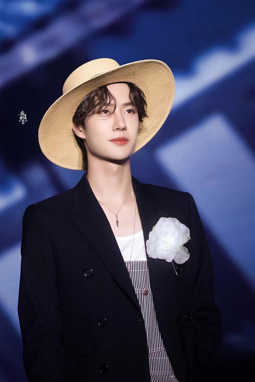 「翻糖」陈情令 王一博 商品图2