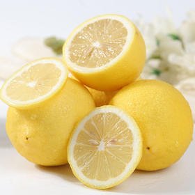 【云燕优品】安岳柠檬800g