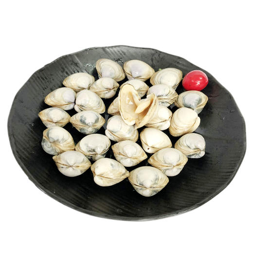 【海鲜】鲜活蛤蜊（250g） 商品图1
