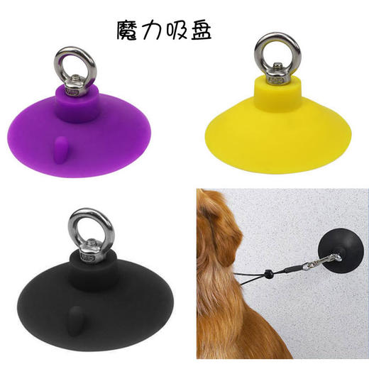 宠物美容桌吊绳 单绑/双绑钢丝吊绳 魔力吸盘 意大利BRAVURAGROOM 商品图4