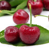 大连美早大樱桃 商品缩略图1