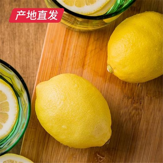 四川安岳黄柠檬 8粒（单果80g-90g）（包邮直发） 商品图6