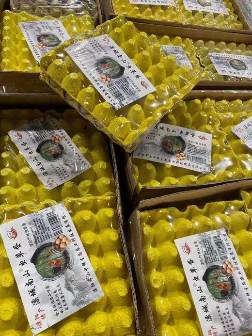 周六取货：【虫草蛋】30枚/板！！有营养，独特的口感！！ 商品图2