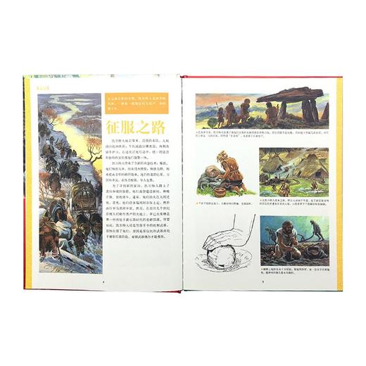 《高卢时代》从凯尔特人入侵到罗马人占领 10-100岁 历史绘本 人类的生活 读小库 商品图1