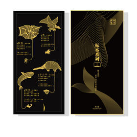 南周原创-标本系列书签礼盒，2种配色可选