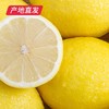 四川安岳黄柠檬 8粒（单果80g-90g）（包邮直发） 商品缩略图2