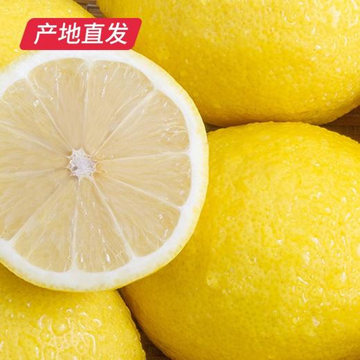四川安岳黄柠檬 8粒（单果80g-90g）（包邮直发） 商品图2