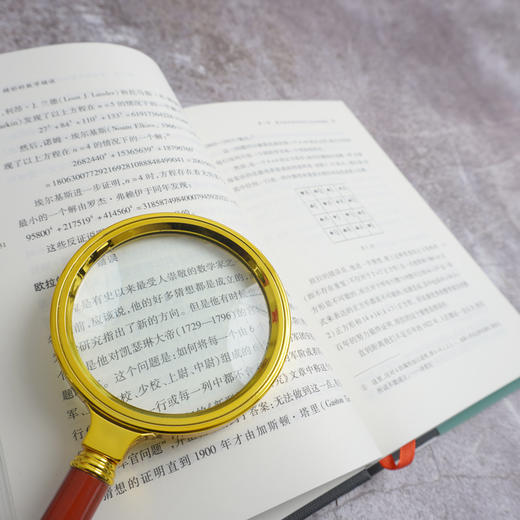 精彩的数学错误 启蒙数学文化译丛 阿尔弗雷德·S.波萨门蒂 数学教育 正版 华东师范大学出版社 商品图3