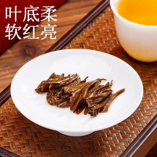 红茶 新坦洋 工夫 2025年 桂香茶 250g 商品图3