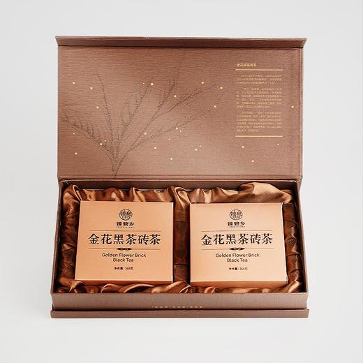 臻碧乡 金花黑茶砖茶礼盒丨268g*2 商品图2