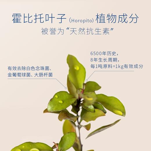 Lycocelle绽家内衣洗衣液 内裤清洁新西兰进口去血渍300ml 商品图5