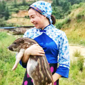 八乡农嫂香猪肉