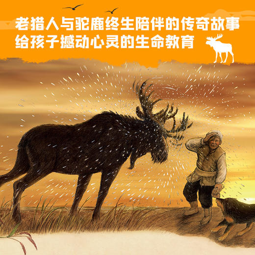 鄂温克的驼鹿·签章版 商品图3