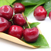 大连美早大樱桃 商品缩略图2