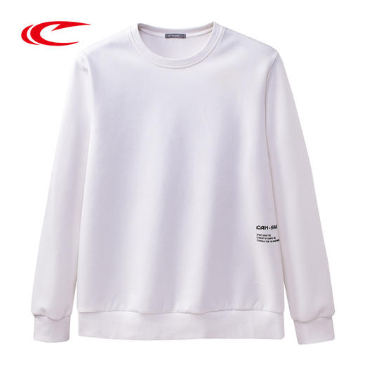 【线下同款 标准版型 简洁基础易搭配】赛琪男士运动卫衣171011 商品图3