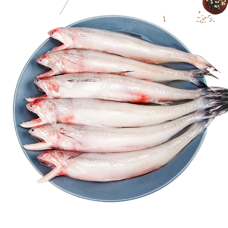 【海鲜】冰鲜东海水鱼 1斤
