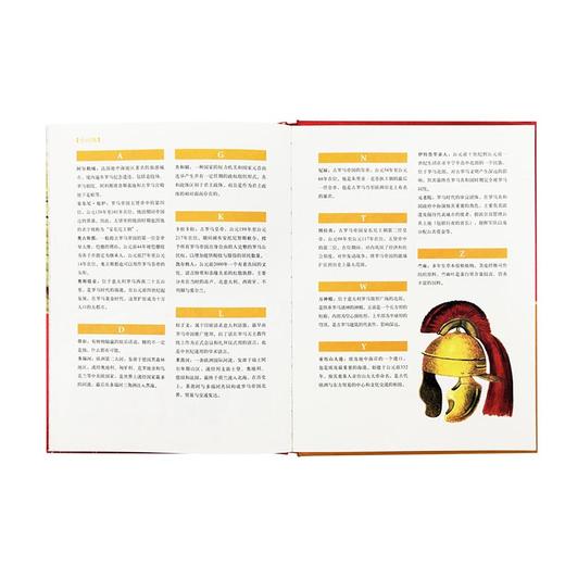 《古罗马时代》 从征战高卢到帝国鼎盛时期 10-100岁 历史绘本 人类的生活 读小库 商品图4