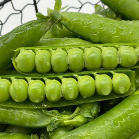 云南一级带壳青豌豆5斤装