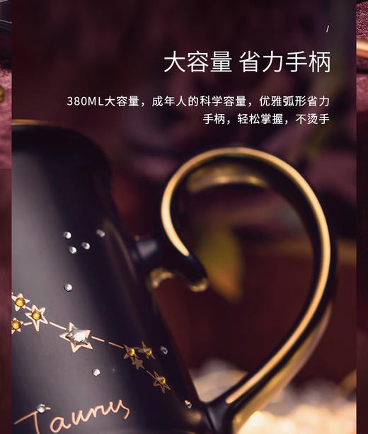 JOYYE 十二星座杯 商品图2